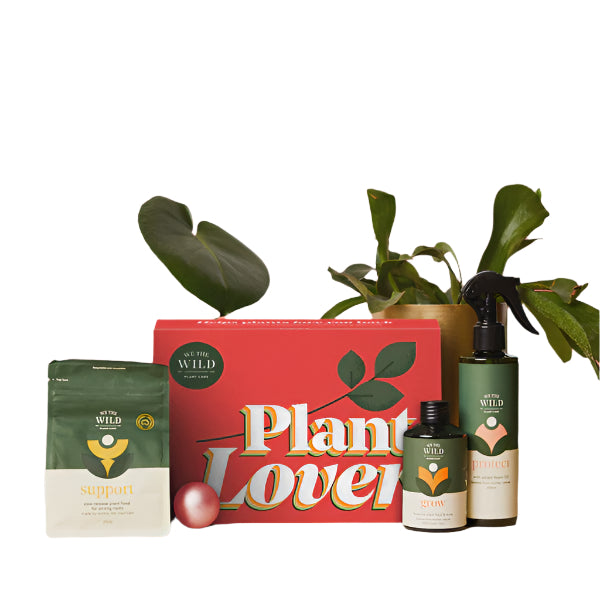 Plant Lover Giftbox Essential Kit