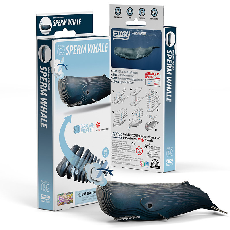 3D Cardboard Model Kit - Sperm Whale