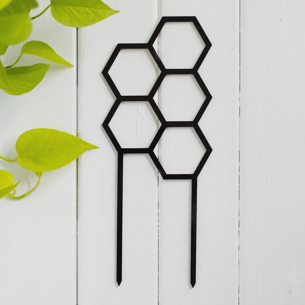 Hex Plant Climber - Black