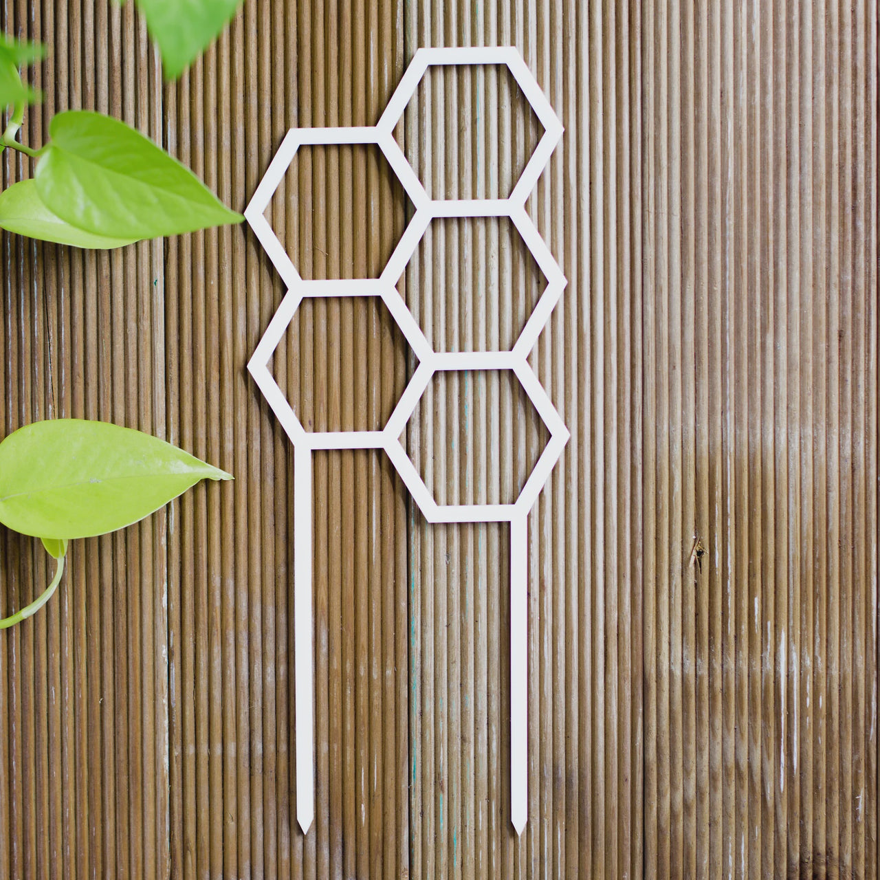 Hex Plant Climber - White