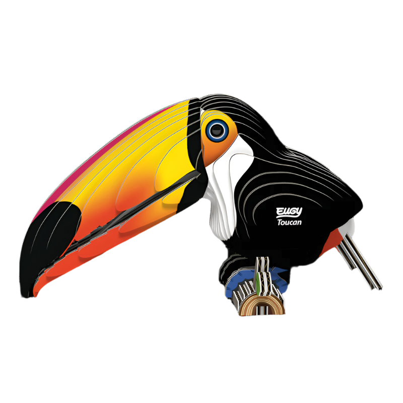 3D Cardboard  Model Kit - Toucan