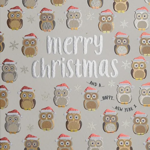 Merry Christmas Owls Card