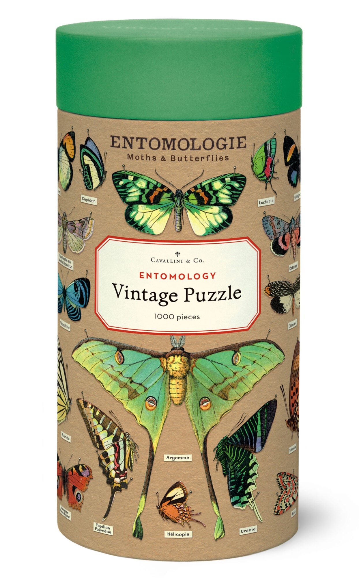 1000pc Vintage Puzzle - Entomology