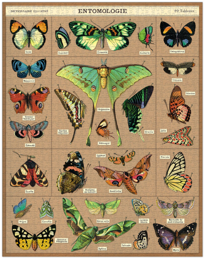 1000pc Vintage Puzzle - Entomology