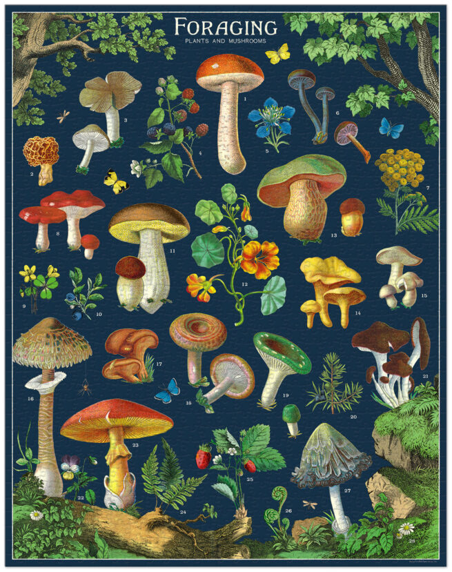 1000pc Vintage Puzzle - Foraging