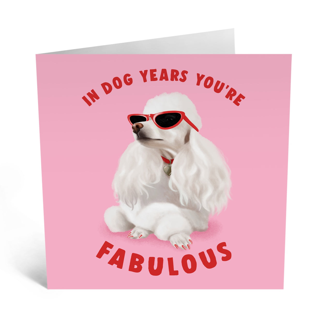 In Dog Years You're Fabulous Card