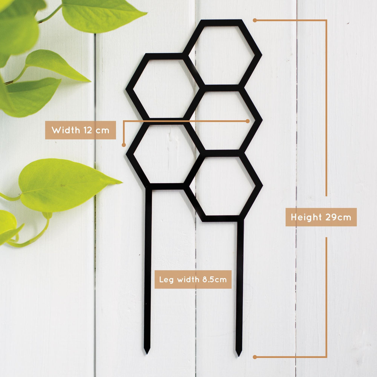 Hex Plant Climber - Black