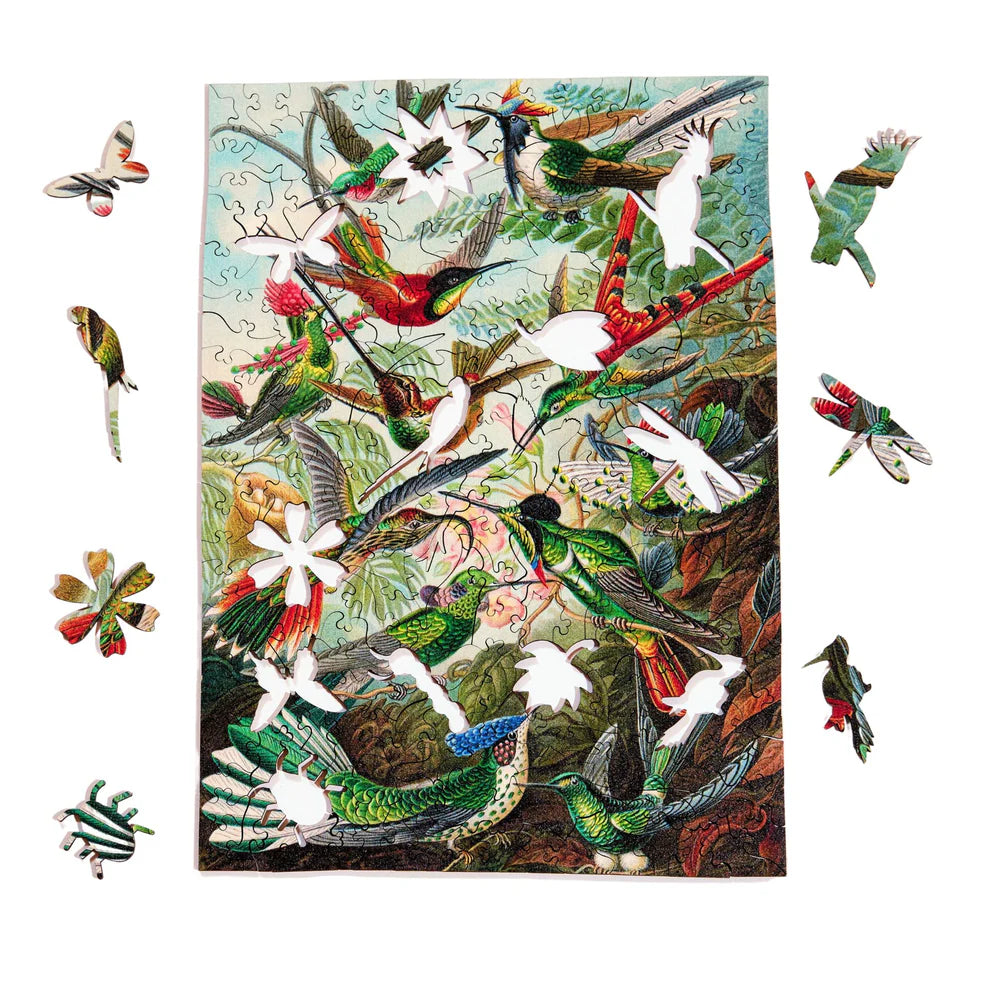 228pc Wooden Puzzle - Ernst Haeckel Hummingbirds