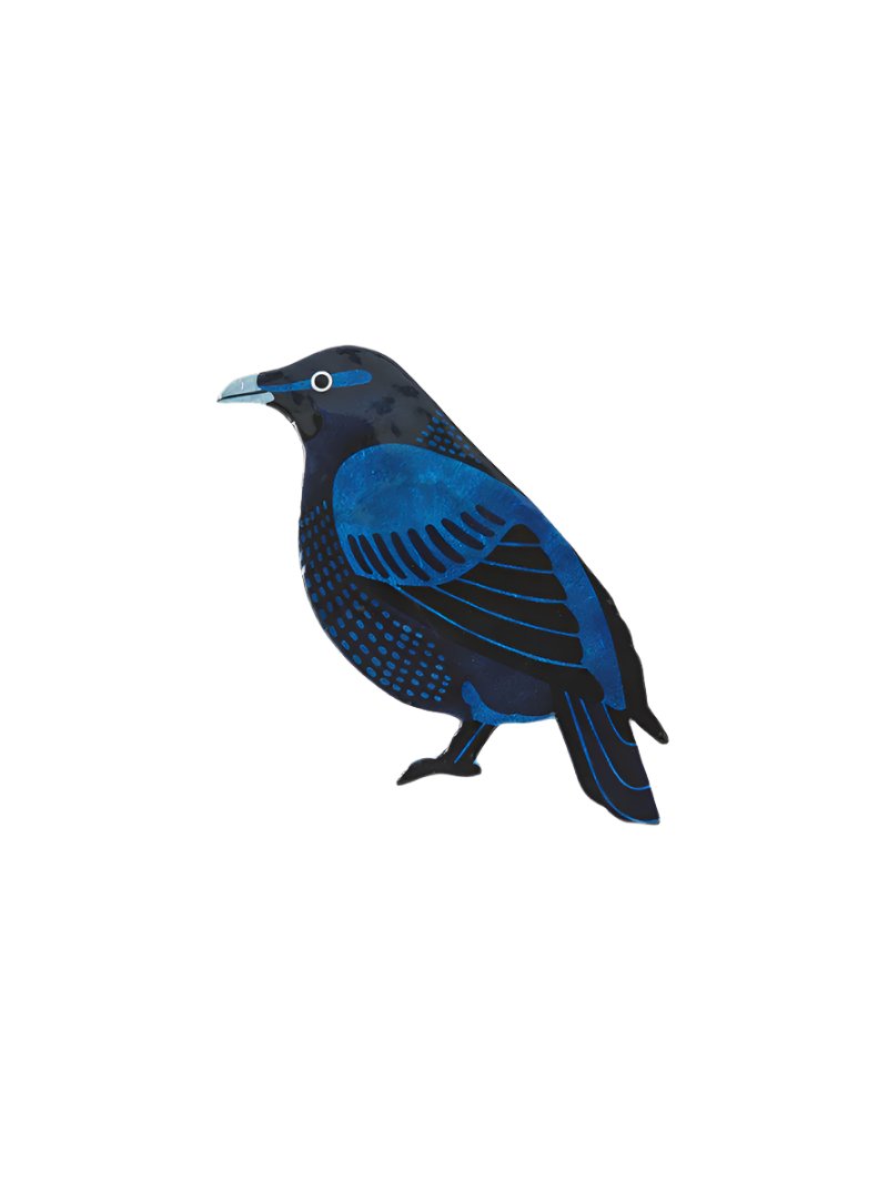 Aerial Bowerbird Wall Art