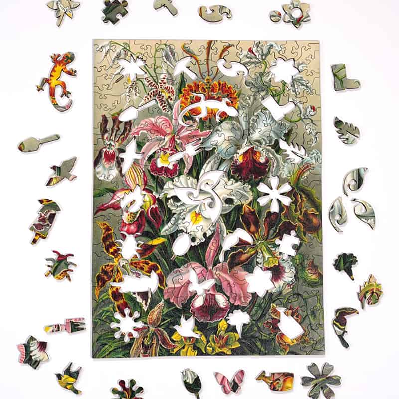 219pc Wooden Puzzle - Ernst Haeckel Orchids