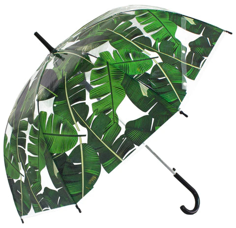 Transparent Umbrella