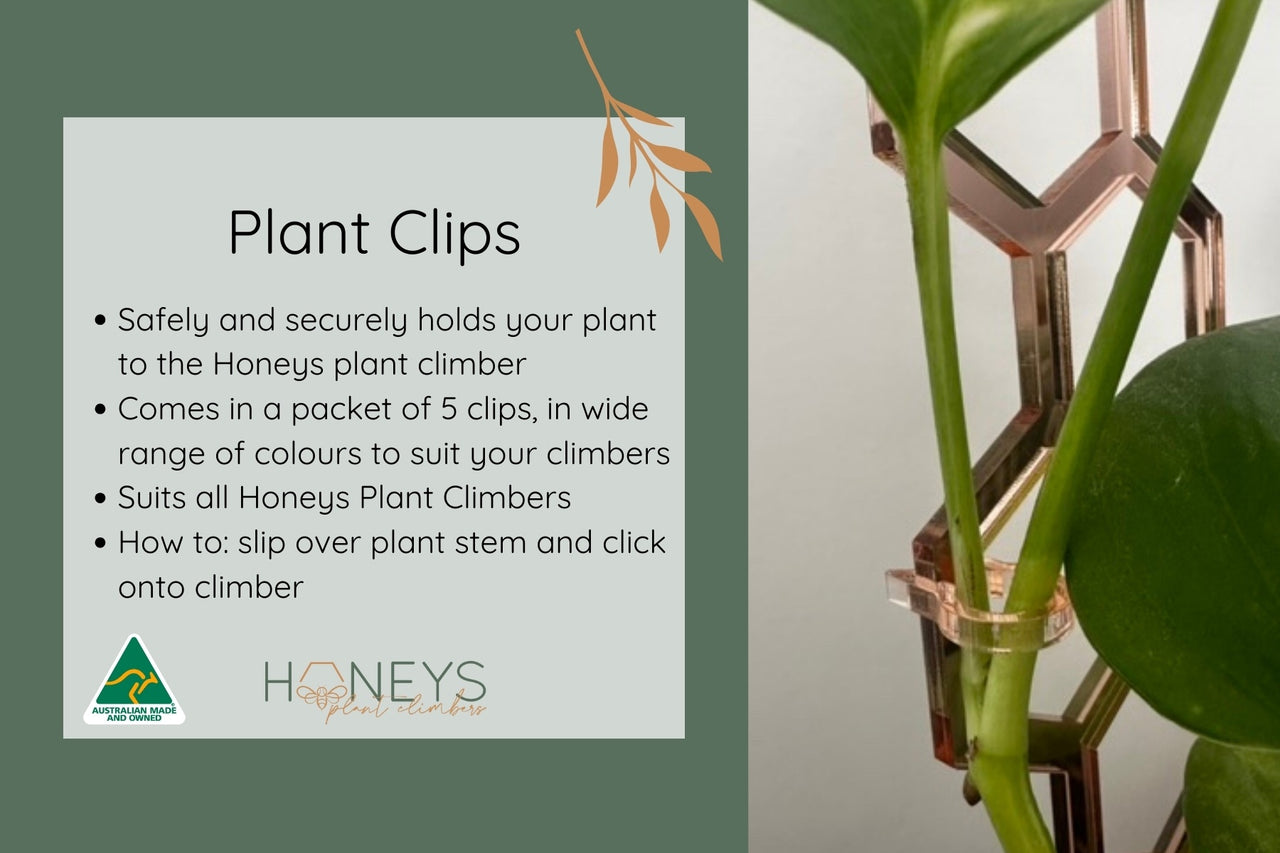 Plant Clips - Gold Glitter