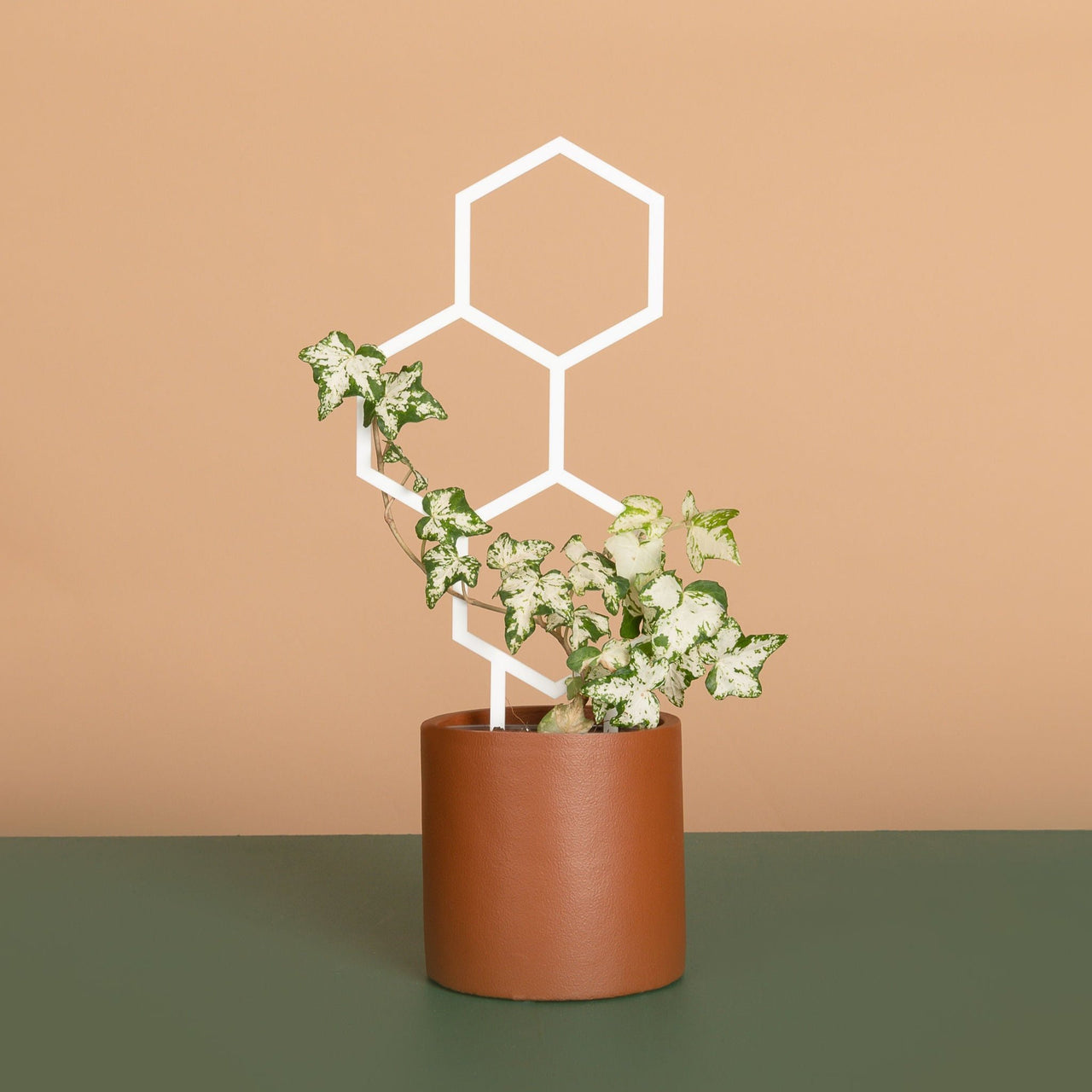 Pollen Plant Climber - White