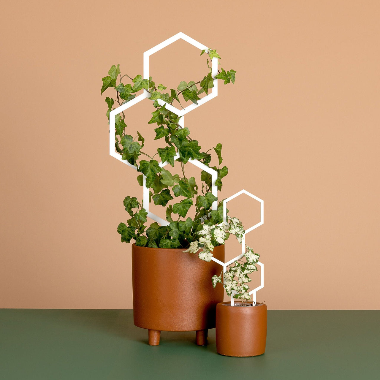 Pollen Plant Climber - White