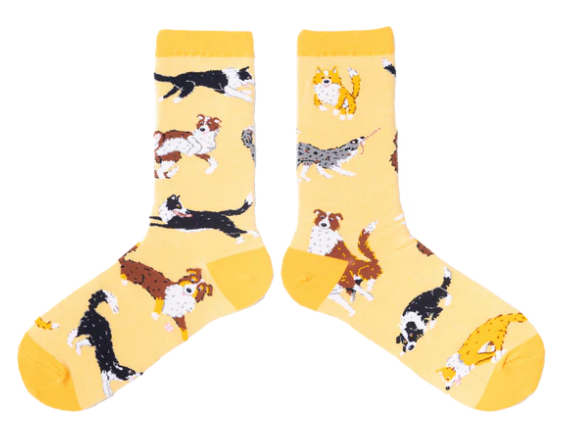 Spencer Flynn Women's Socks - Ya Heard