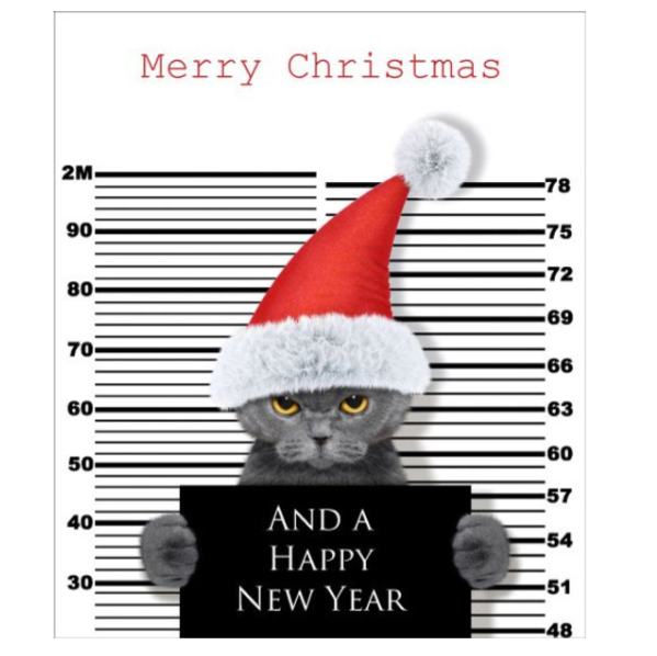 Merry Christmas and A Happy New Year Smokey Cat Card