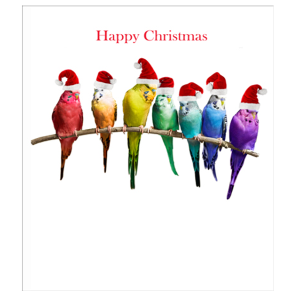 Budgies Happy Christmas Card