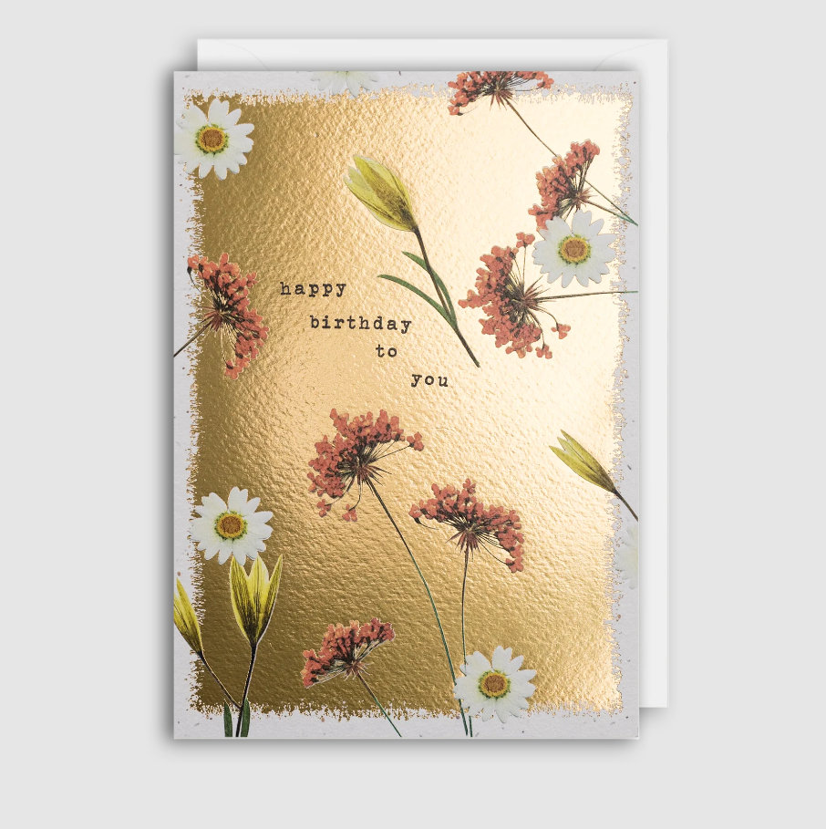 Birthday Daisy and Pink Meadow Card