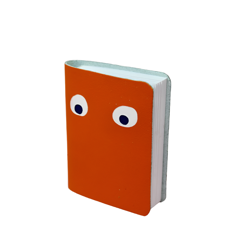 Googly Eye Mini Notebook - Orange