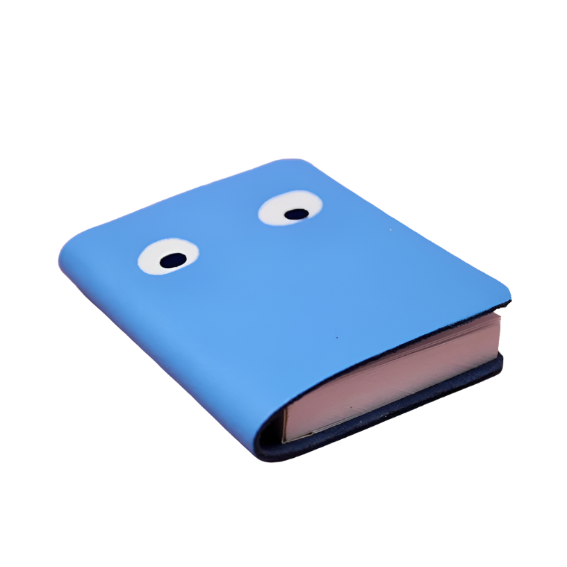 Googly Eye Mini Notebook - Cornflower