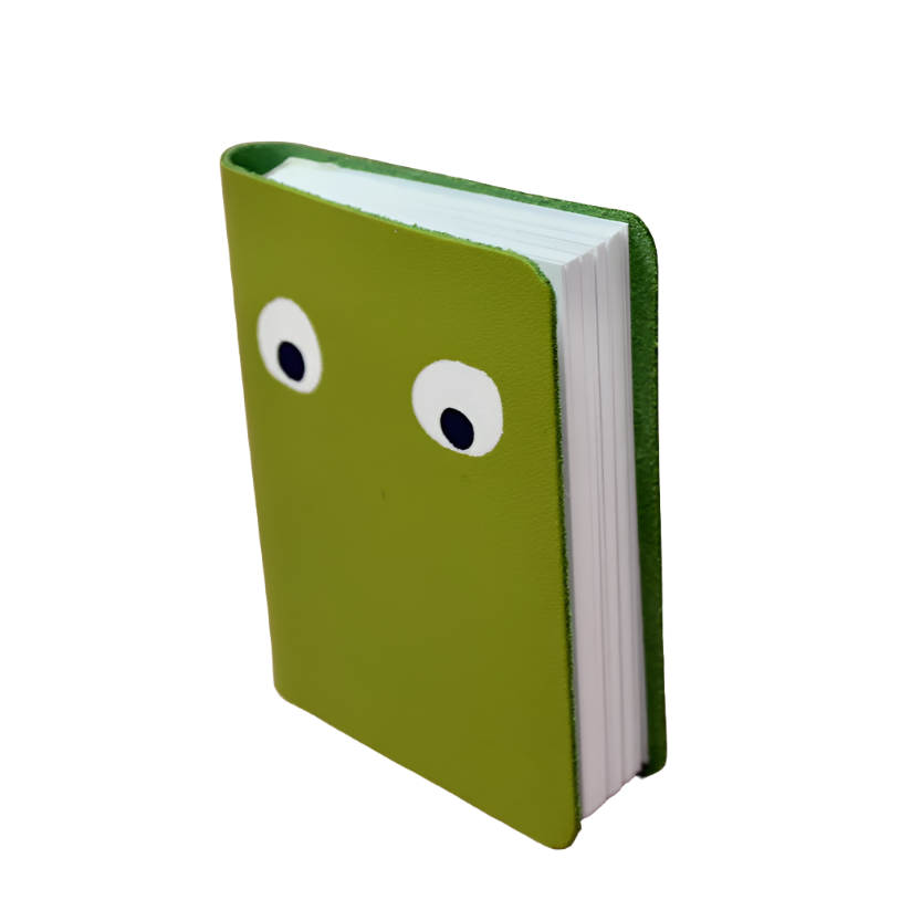 Googly Eye Mini Notebook - Apple Green