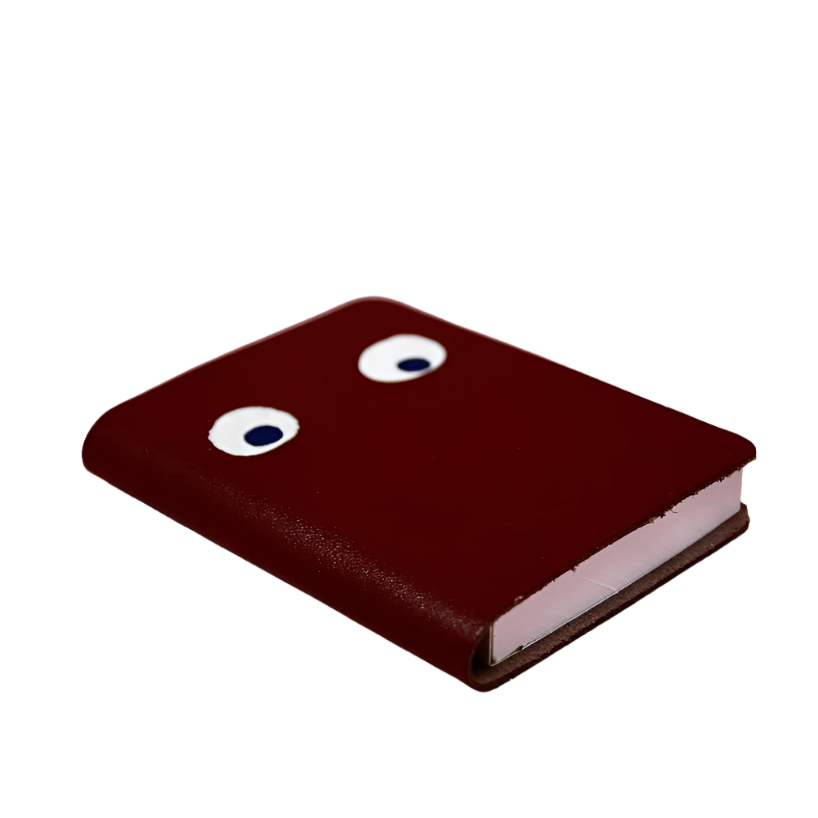 Googly Eye Mini Notebook - Brown