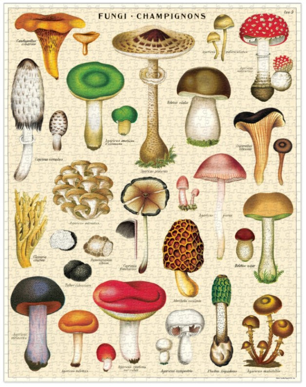 1000pc Vintage Puzzle - Mushrooms