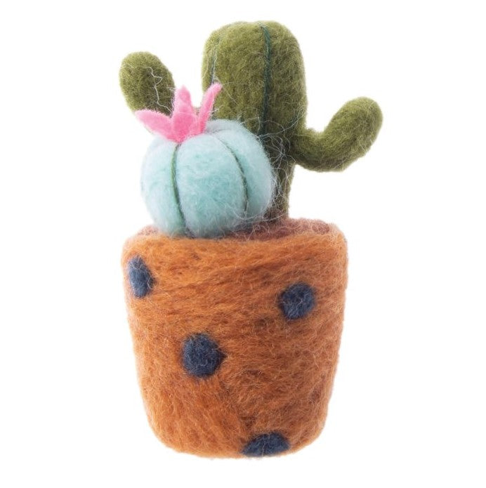 Felting Kit - Cactus