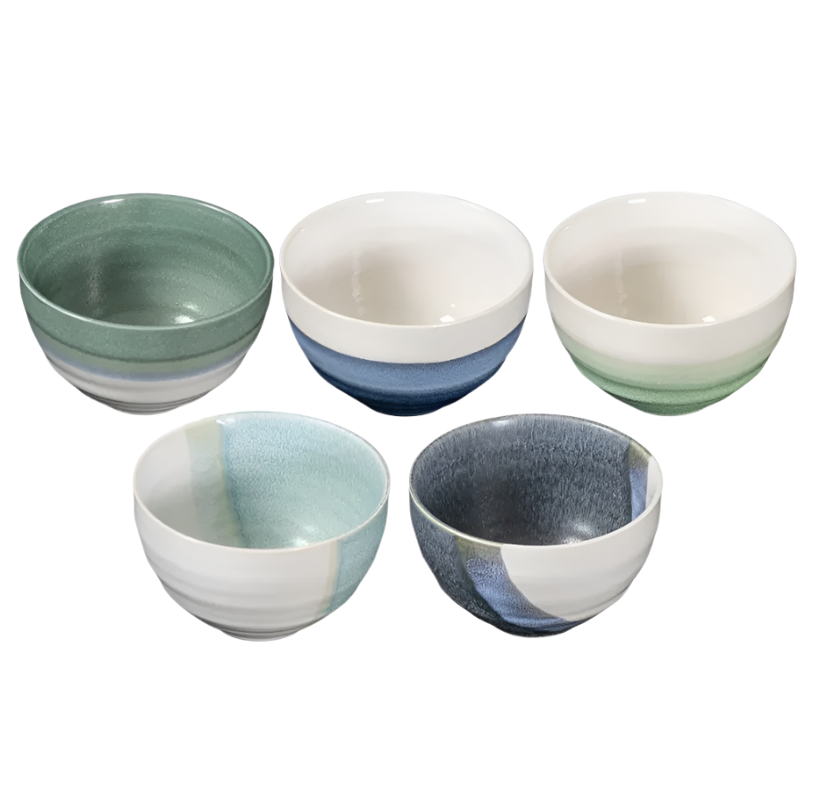 Lagoon Set of 5 Bowls