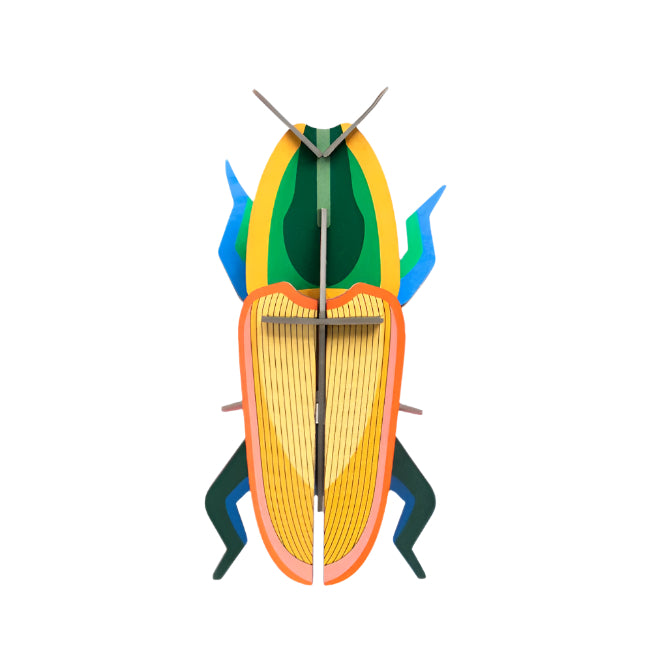 Cardboard Wall Art Small - Madagascar Beetle