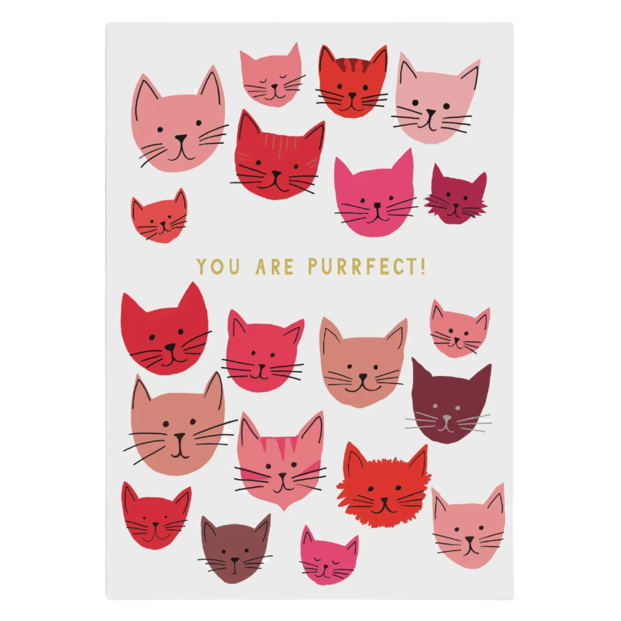 You Are Purrfect Card