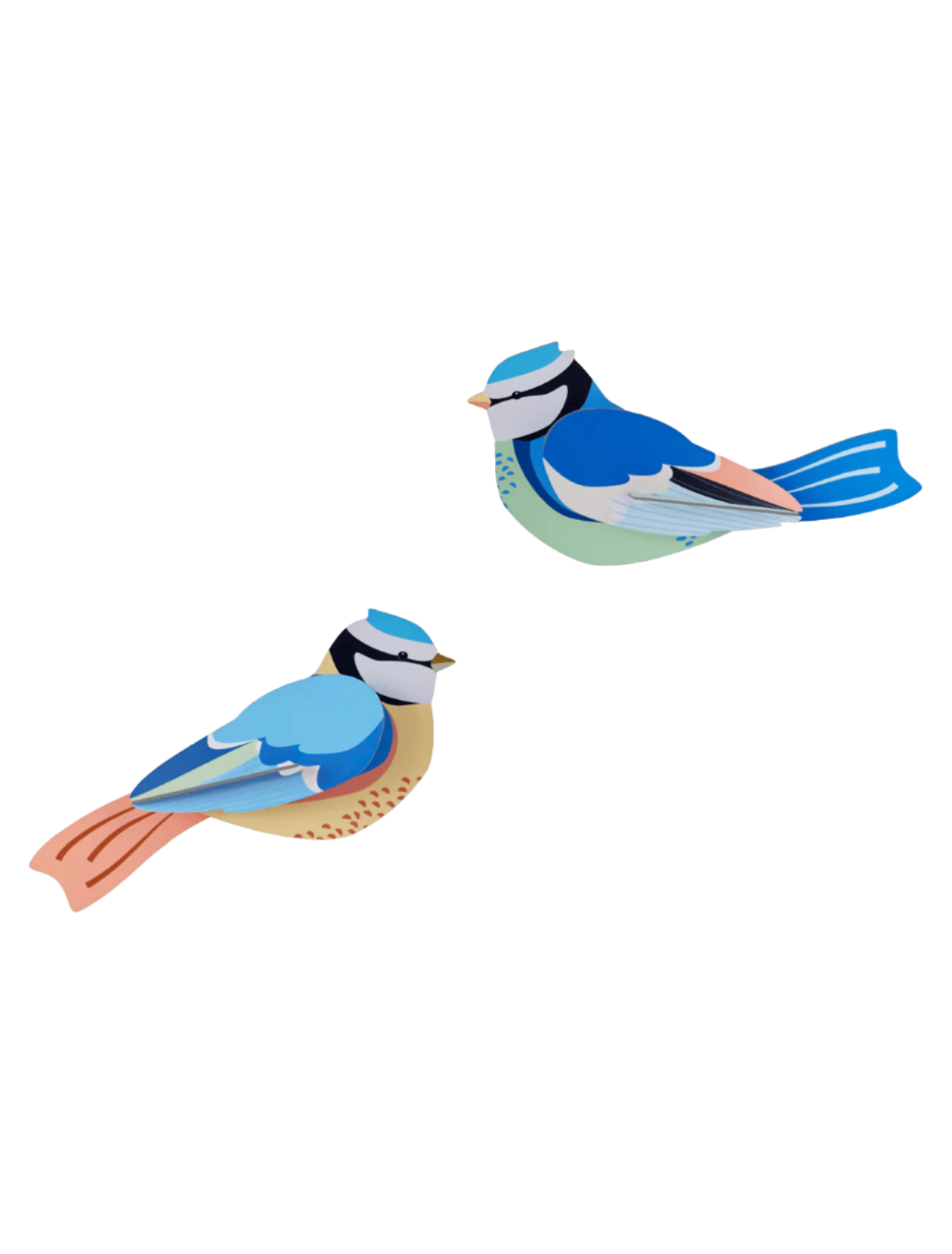 Cardboard Wall Art Garden Bird Duo - Blue Tits