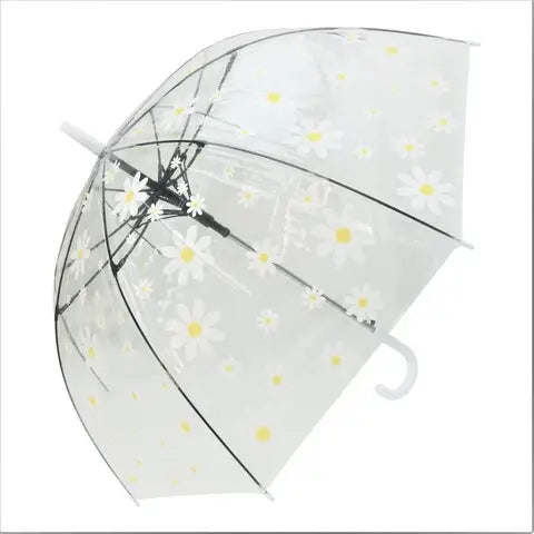 Transparent Umbrella