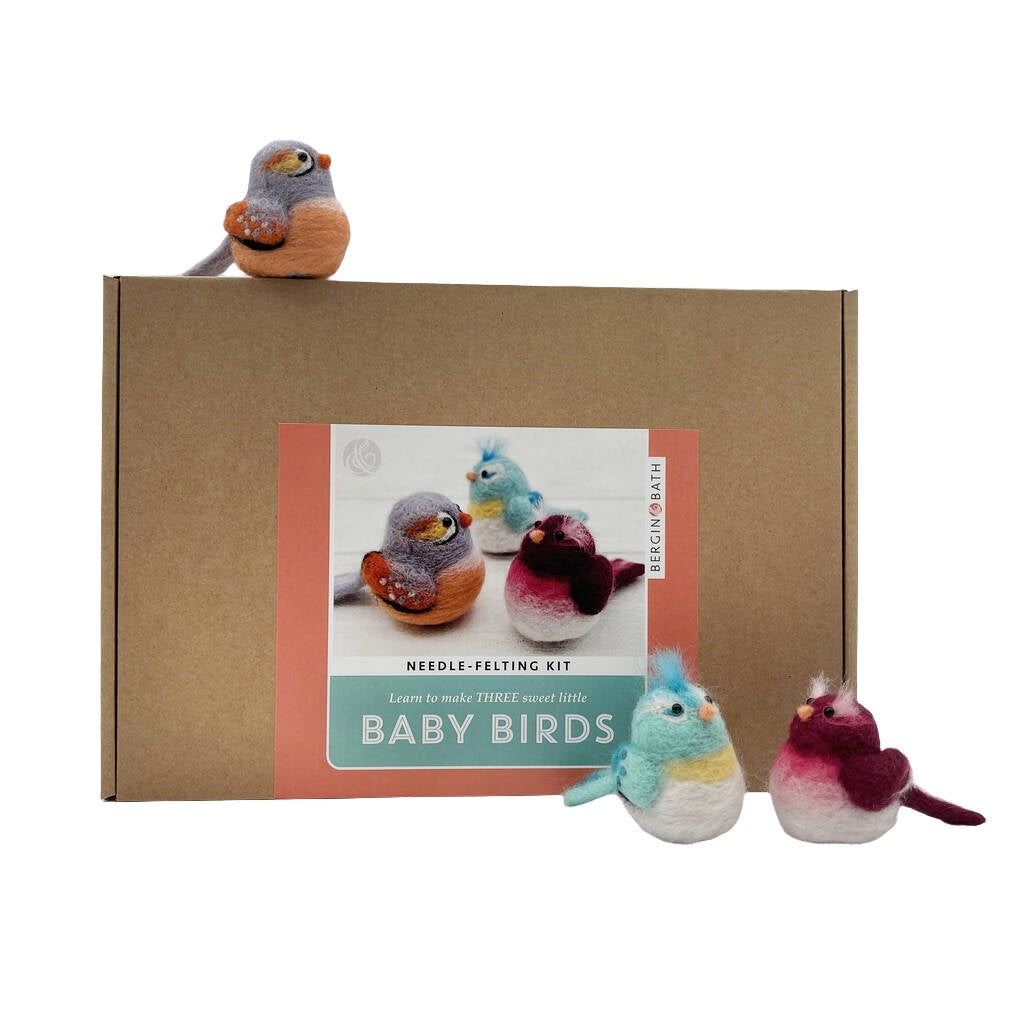 Needle Felting Kit - Baby Birds