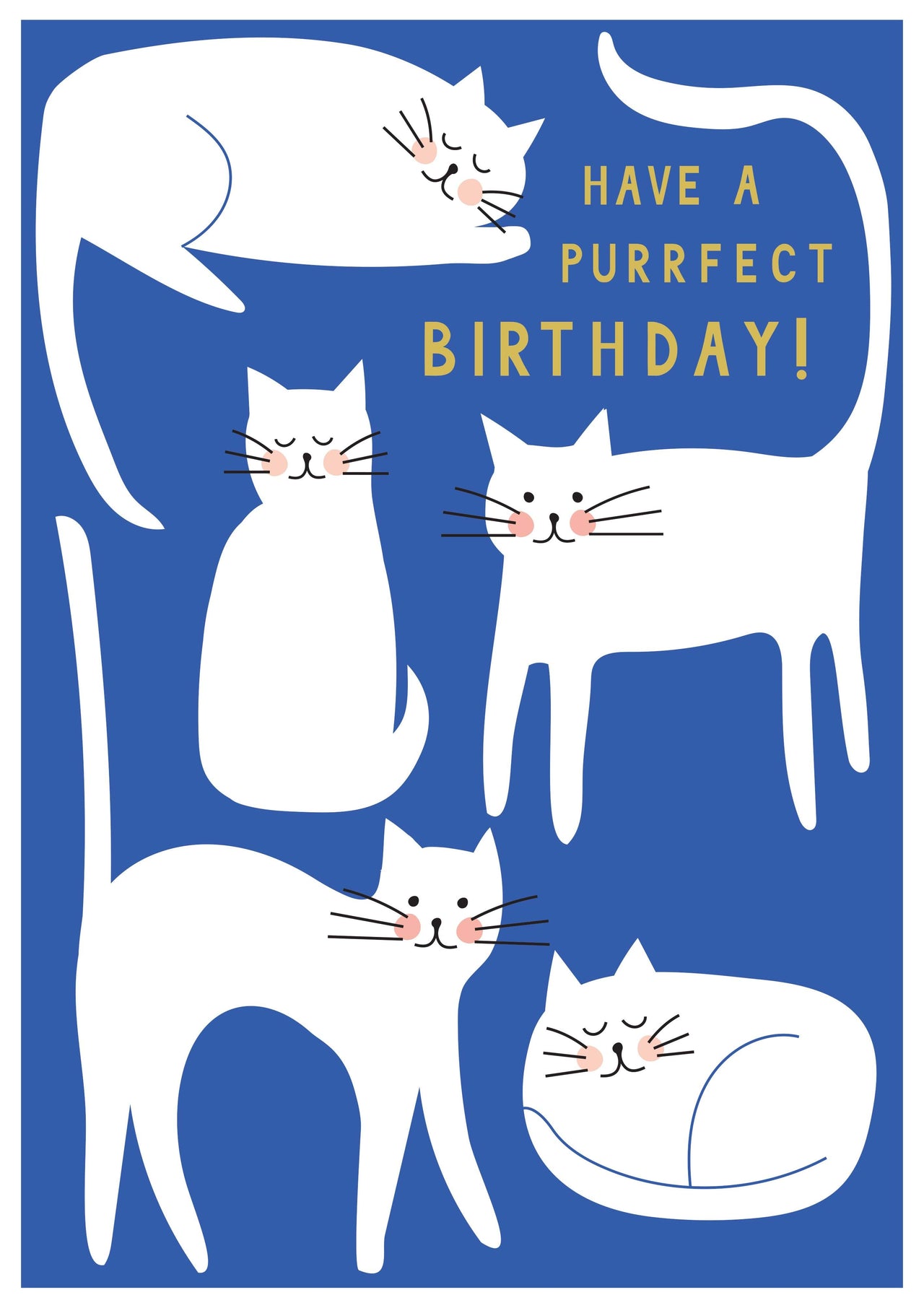 Have a Purrfect Birthday Card