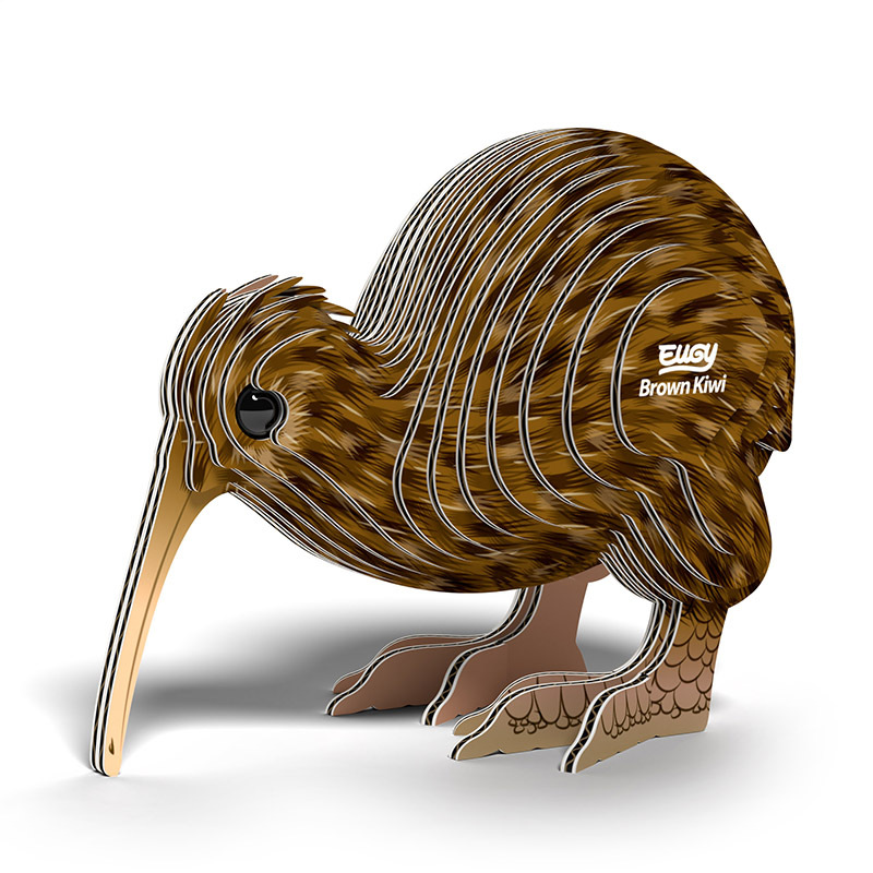 3D Cardboard Model Kit - Brown Kiwi