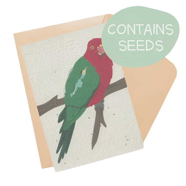 Plantable Card - Australian King Parrot