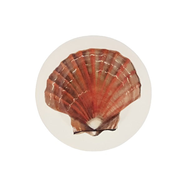 6.5 Inch Round Plate - Scallop