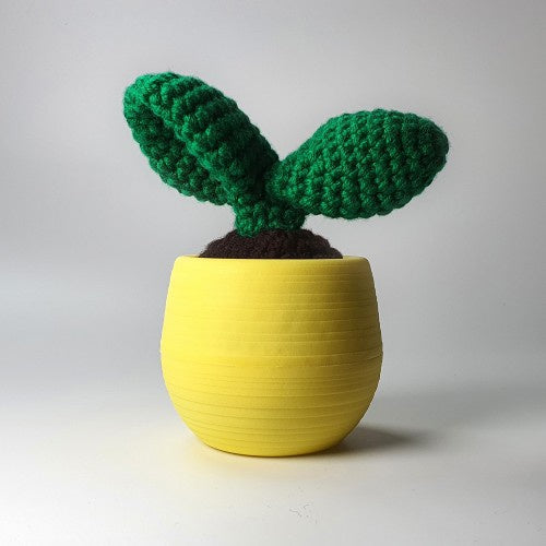 Crochet Cacti