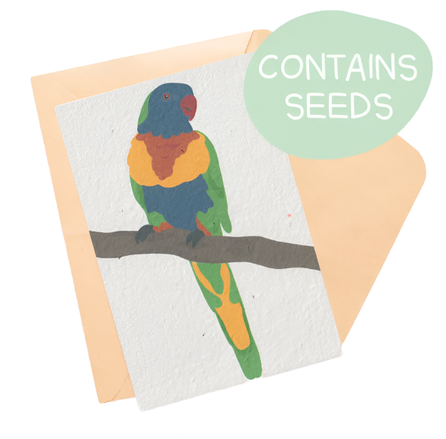 Plantable Card - Rainbow Lorikeet