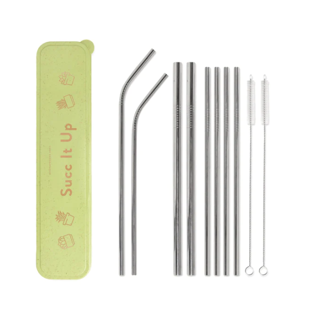 Stainless Steel Natural Straw Set - Succ It Up