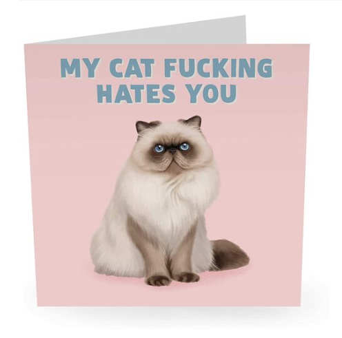 My Cat Hates You Card