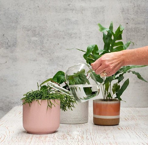 Glass Watering Can