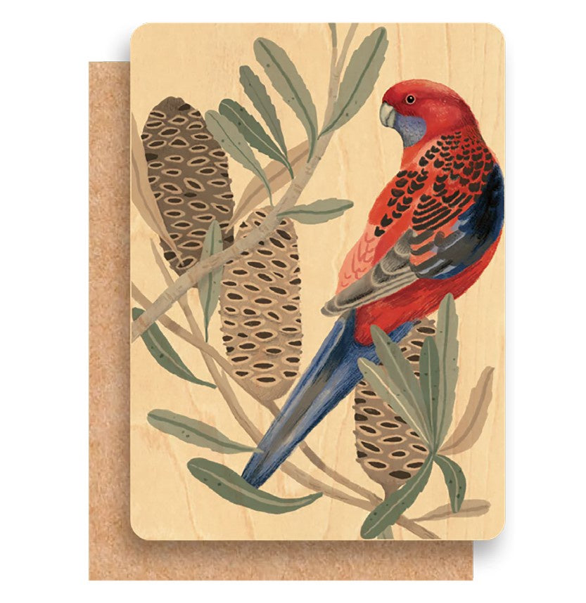 Rosella With Banksia Wood Card