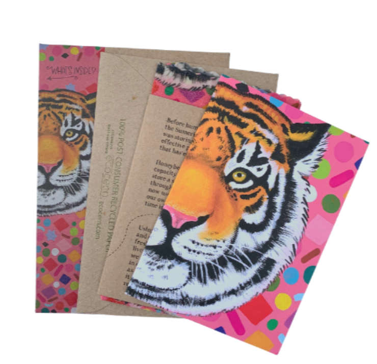 Single Pack Summer Svenson Tiger