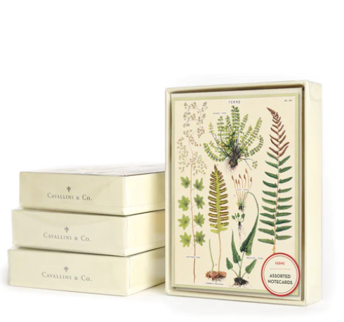 8 Assorted Notecards - Fern