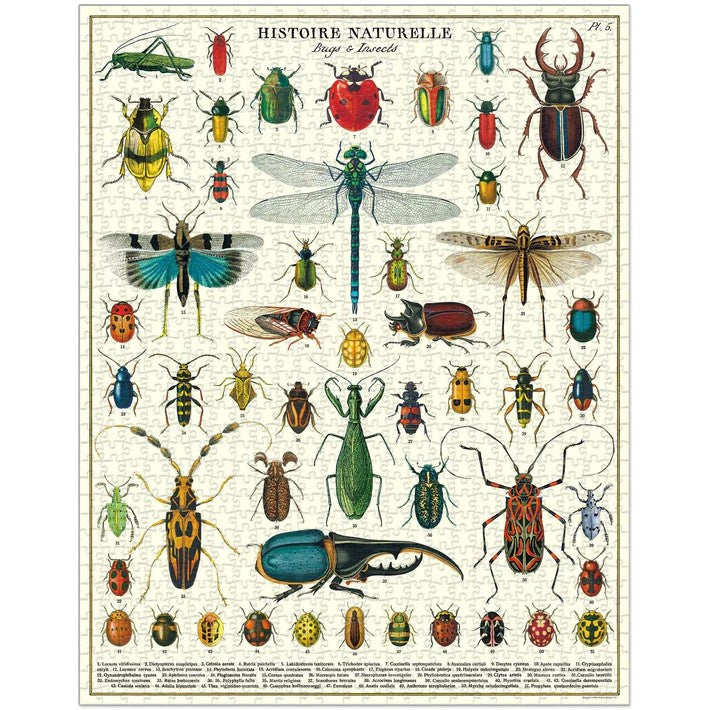 1000 pc Vintage Puzzle - Bugs & Insects