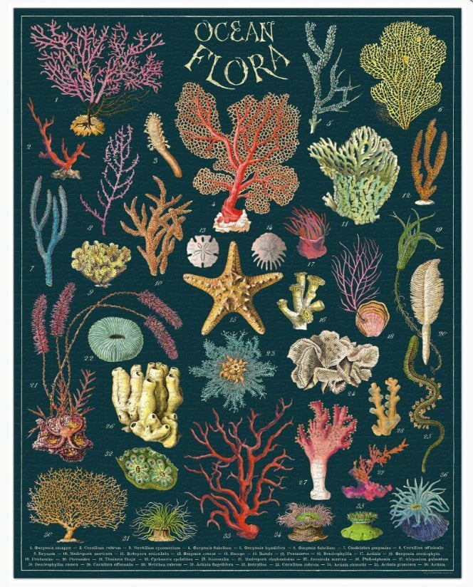 1000pc Vintage Puzzle - Ocean Flora