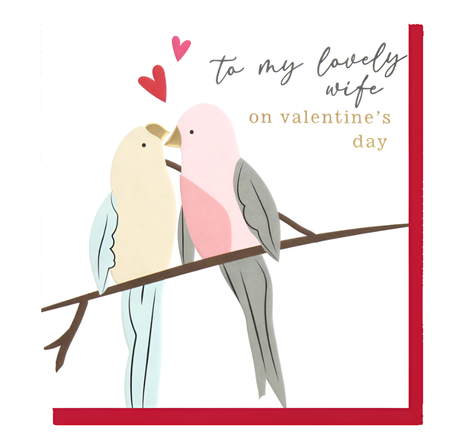 To My Lovely Wife  On Valentine's Day Birds