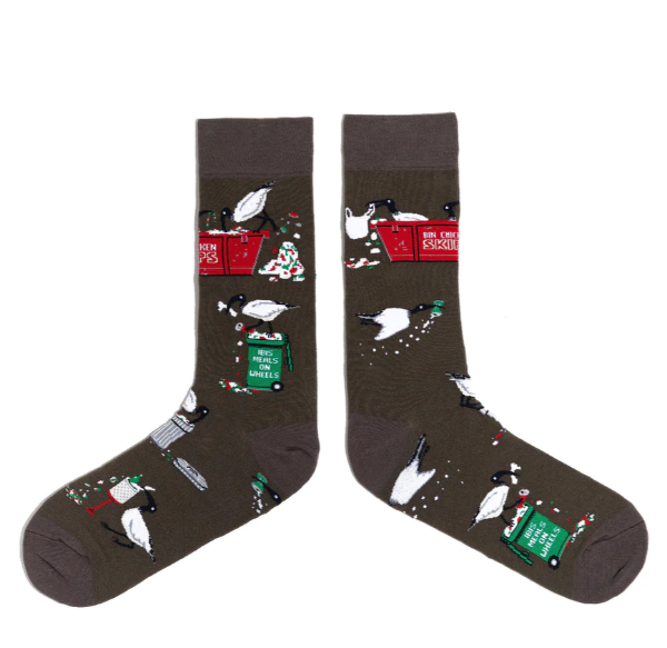 Spencer Flynn Men's Socks - Bin Chicken You Out (Ibis)